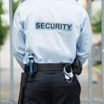 Why Are Professional Security Services Important for Businesses?