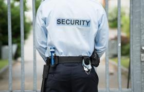 Why Are Professional Security Services Important for Businesses?