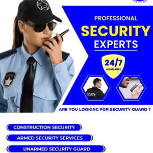 Exploring the Future of Security Services in India